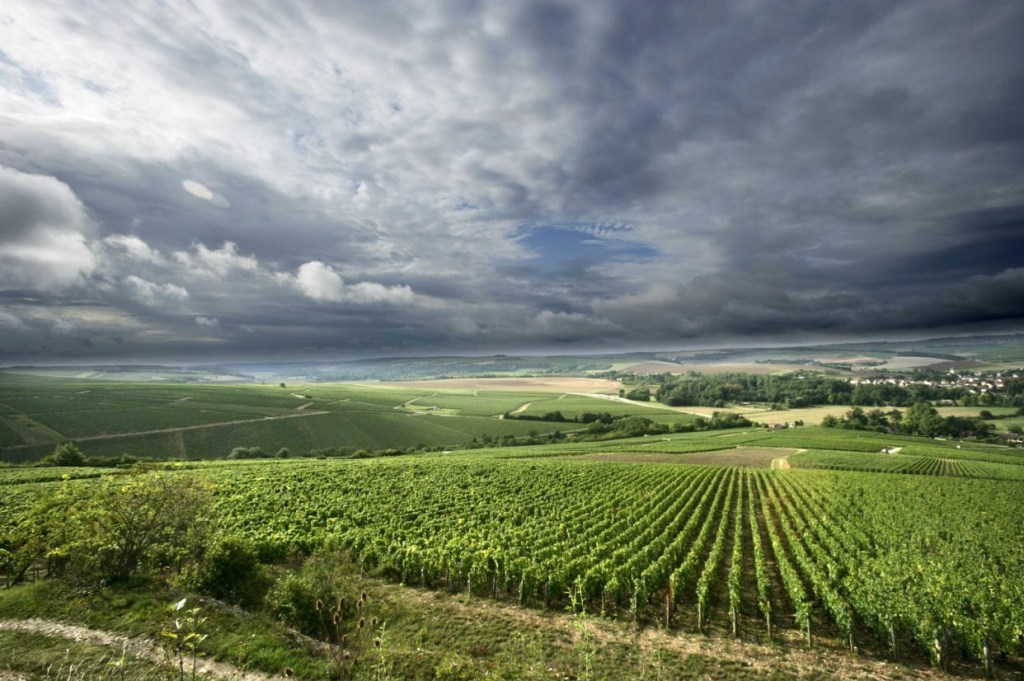 Chablis: a porta de entrada da&nbsp;Borgonha